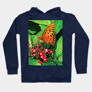 Butterflies - Orange Butterfly on Kalanchoe Hoodie